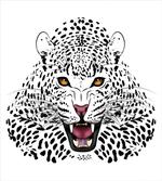 Angry Wild Leopard