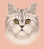 Love Cat Words Portrait