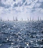 Sailing Boats Sunny
