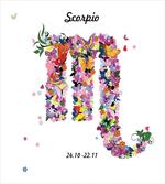 Floral Butterfly