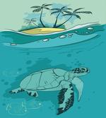 Sea Turtle Exotic Island