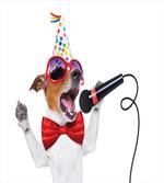 Birthday Doggy