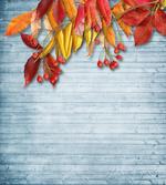 Vintage Rustic Autumn