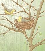 Tree Animals Spring Woods