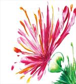 Blooming Petals