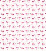 Tropic Birds and Spots