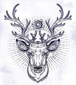 Reindeer Head Sketch