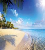 Summer Time Peaceful Setting