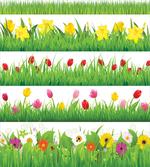 Nature Scenes Spring