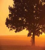 Countryside Farm Sunrise