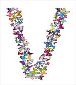 Lepidoptera Design V