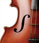 Macro Instrument Photography