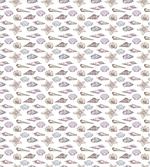 Seashell Sketches Pattern