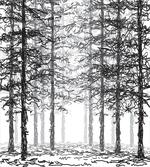 Sketch Style Line Art
