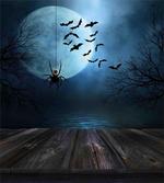 Lake Scene Bat