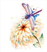Watercolor Lily Bloom