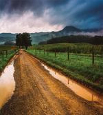 Puddles on Dirt Road