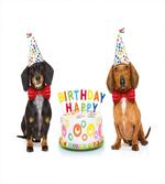 Dogs Happy Birthday Cake