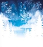 Snowflakes and Stars
