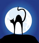 Black Cat Full Moon Sky