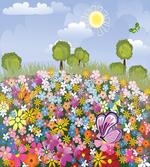 Spring Meadow Blossoms