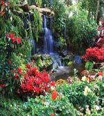 Spring Forest Waterfall
