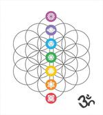 Chakra Point Rings