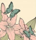 Butterflies and Lilies