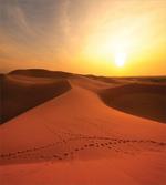 Footprints on Sand Dunes