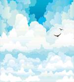 Silhouettes of Birds