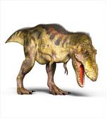 Prehistoric Animal