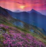 Floral Mountains Dusk