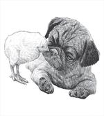 Pug Little Chick Hand Drawn