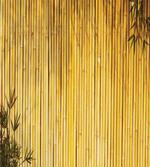 Nature Wood Leaves Stems