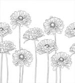 Thin Line Art Flowers