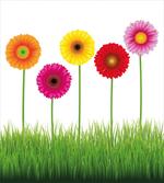 Vivid Flowers on Grass