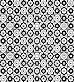 Monochrome Daisies