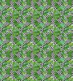 Macro Palm Tree Leaves