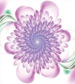 Floral Harmonic Spirals