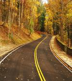 Autumn Scenery Roadway