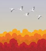 Flying Strokes Autumn Forest