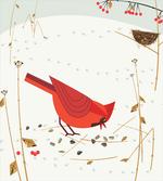 Red Cardinal in Autumn