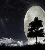Giant Moon Tree