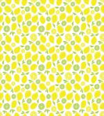 Simplistic Citrus Fruits