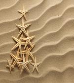 Triangular Shaped Starfish