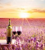 Blooming Lavender Picnic
