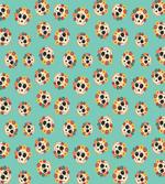 Latin American Skulls