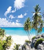 Barbados Beach Ocean