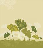Natural Curved Tree Leaves