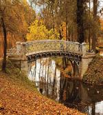 Old Bridge in Fall Forest
